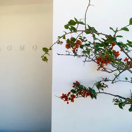 Aomo Art Space * Oeiras