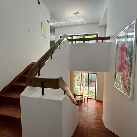 بيت ضيافة Aomo Art Space