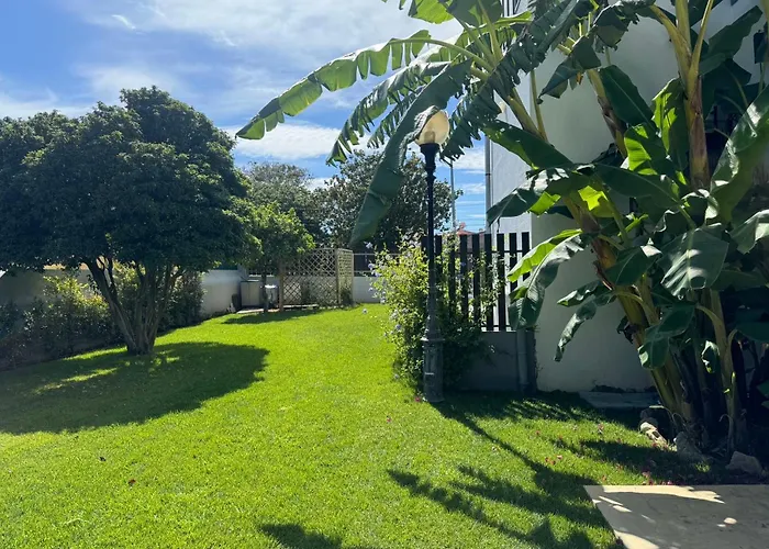 Aomo Art Space בית הארחה