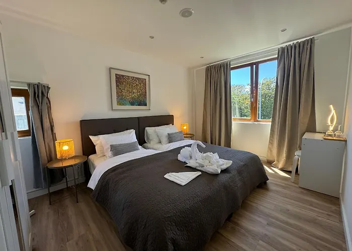 Aomo Art Space אוייראס