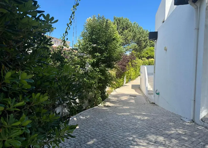 Aomo Art Space בית הארחה