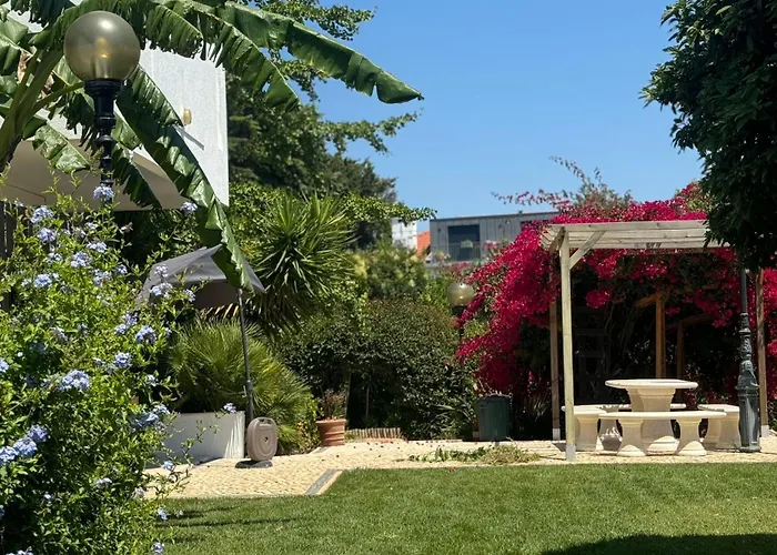 בית הארחה Aomo Art Space